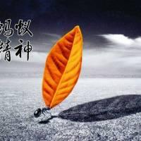 《蚂蚁蚂蚁》吉他谱