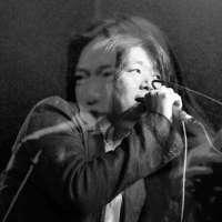 老狼《虎口脱险》吉他谱_吉他弹唱示范演示_齐歌编配