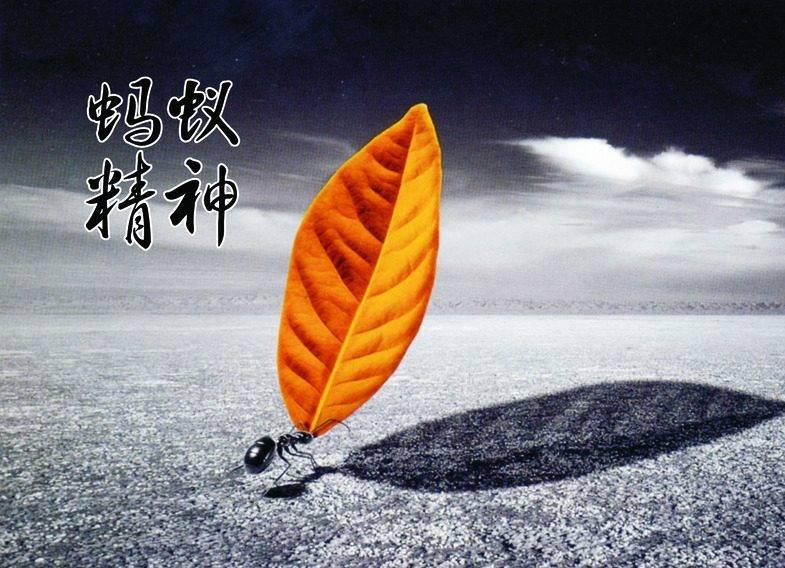 《蚂蚁蚂蚁》吉他谱
